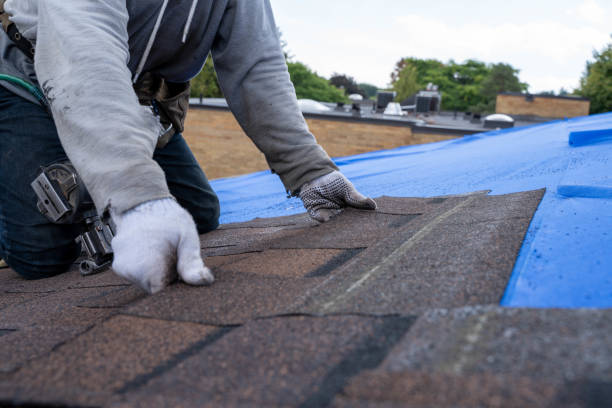 Best Roof Waterproofing Services  in Massanetta Springs, VA