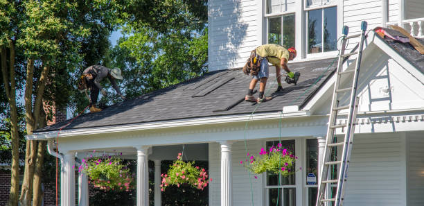 Best Roof Maintenance Services  in Massanetta Springs, VA